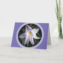 Violet Pluie Lilly Encouragement Carte de voeux