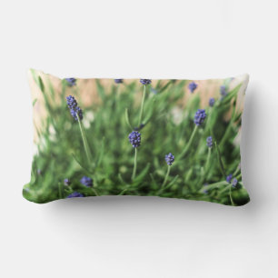 Violets Coussin