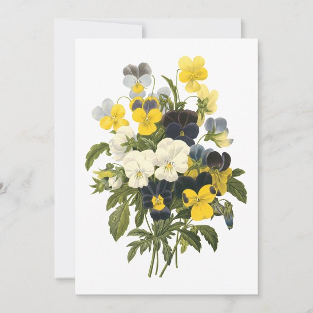 Violets et fleurs de sansy Art botanique (Devant)