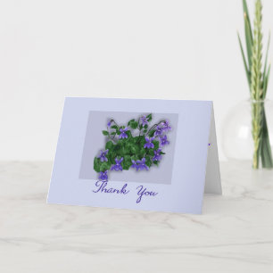 Violets sauvages Merci