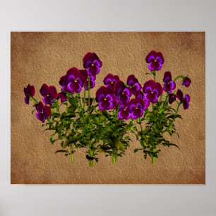 Violets Sur Papier Vieilli Poster D'Art Floral