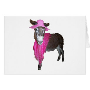 Violette l'âne habillé dans le rose