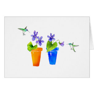 Violettes et colibris