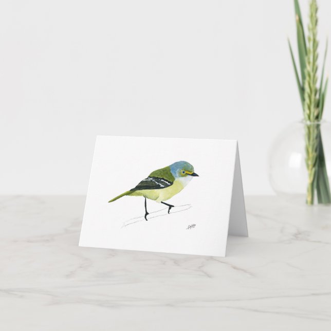 Vireo aux yeux blancs (Devant)
