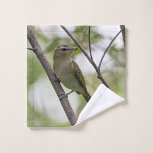 Vireo aux yeux rouges : la nature