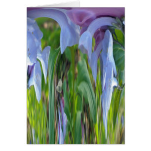 Virginia Bluebells Abstrait