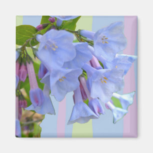 Virginia Bluebells Fleur sauvage Magnet