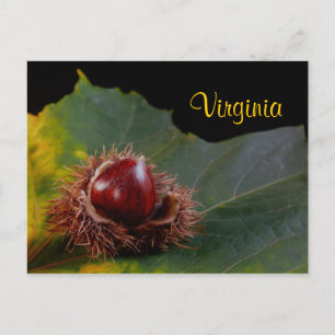 Virginie, Carte postale de feuille d'automne avec