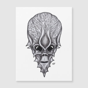 Visage Alien, Reconstruction faciale du crâne afri