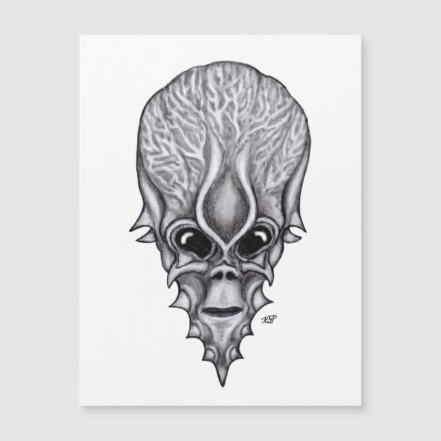 Visage Alien, Reconstruction faciale du crâne afri (Devant)