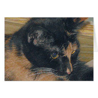 Visage Calico Kitten