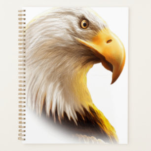 Visage d'aigle