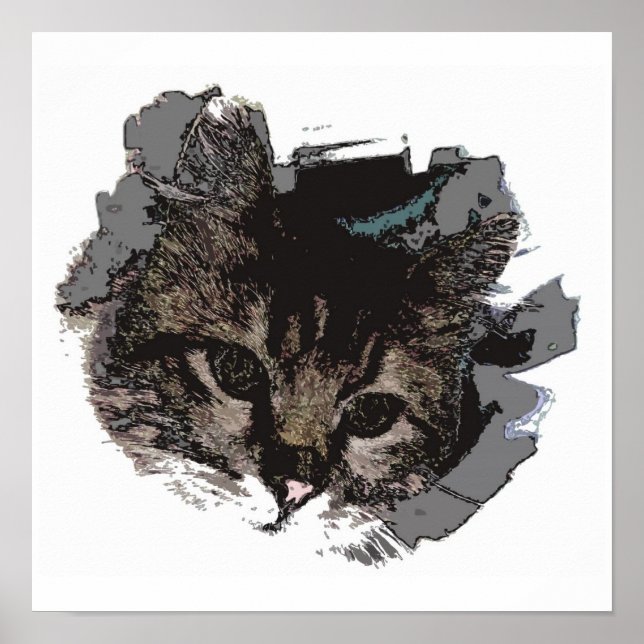 Visage de chat - Yeux de chat Poster Imprimer - Po (Devant)