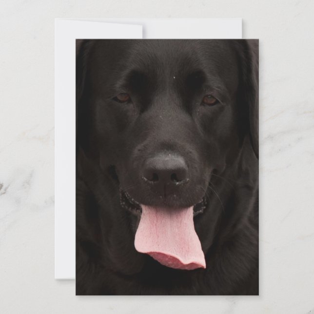 Visage de chien noir (Devant)