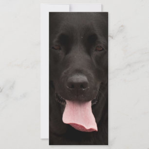 Visage de chien noir