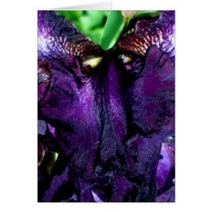 visage de la marionnette