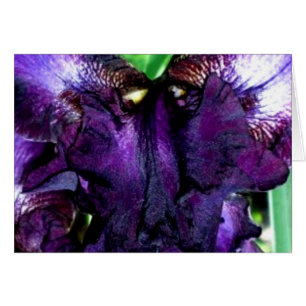 visage de la marionnette