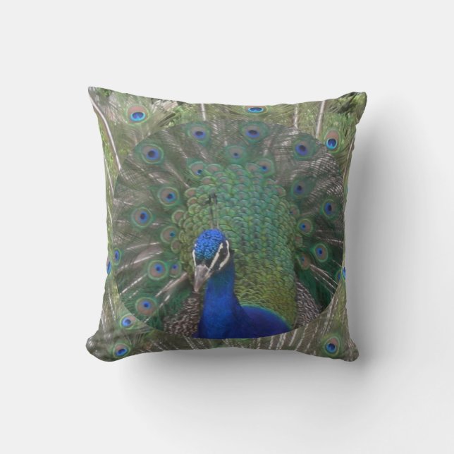 Visage de paon avec Coussin de plumes (Recto)