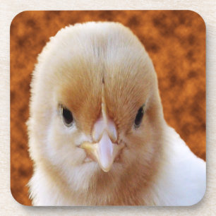 Visage de poule bébé, Dessous de verre