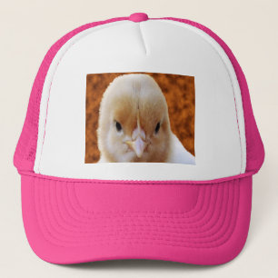 Visage de poulet bébé, Casquette