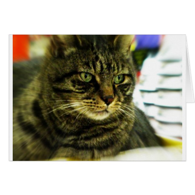 Visage de Tabulation Jaune Vert (Devant horizontal)