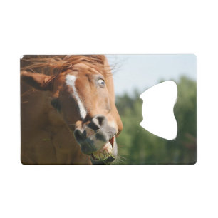 Visage drôle de cheval avec les lèvres courbées,