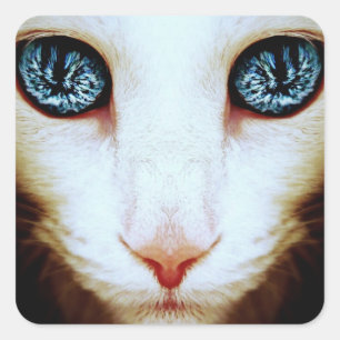 visage étranger de chat - autocollants