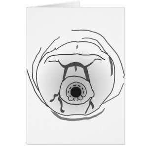 Visage Tardigrade de l'ours d'eau