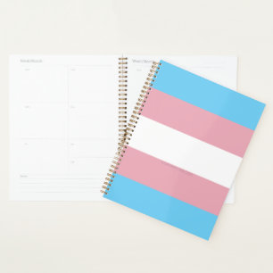 Visibilité du drapeau de fierté transgenre de Slip