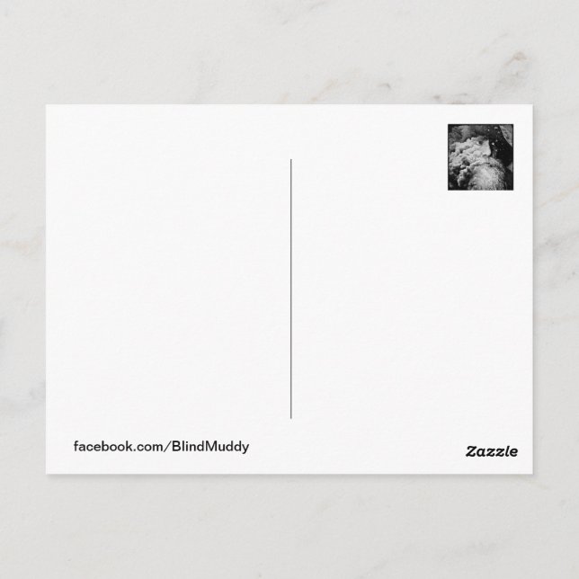 Visions aveugles boueuses #2 Carte postale (Dos)