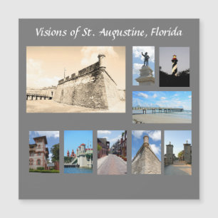 Visions de la ville historique St Augustine, Flori