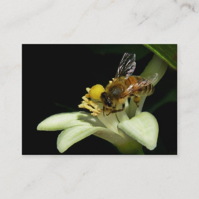 Visite Abeille de miel sur la carte d'ATC de fleur de (Devant)