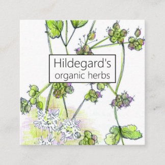 Visite Carré Herbe Ferme Coriander Plantes Coupon Carte de visi