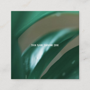 Visite Carré Pale Green Plantes Feuilles Nature Sentir Carte de