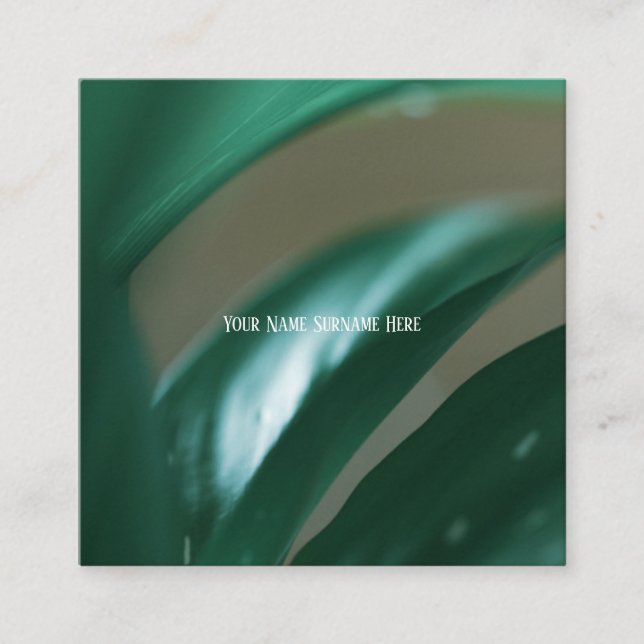 Visite Carré Pale Green Plantes Feuilles Nature Sentir Carte de (Devant)