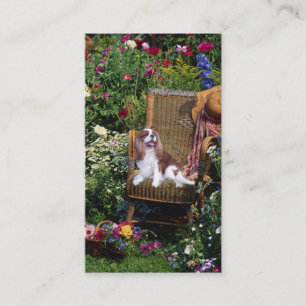 Visite Carte cavalière de BreederBusiness d'épagneul du