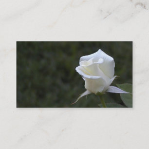 Visite Carte d'affaires ou de profil de rose blanc