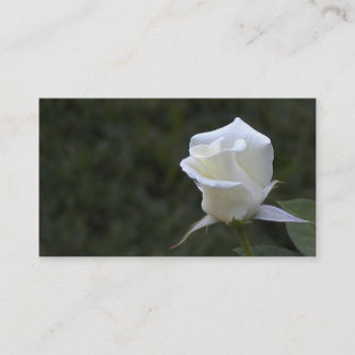 Visite Carte d'affaires ou de profil de rose blanc