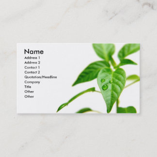 Visite Carte de Bsiness de jardinier