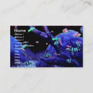 Visite Carte de profil Acquarium