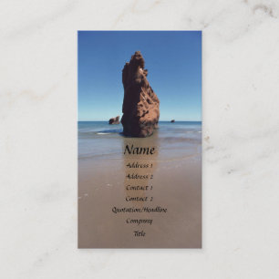 Visite Carte de profil Bird Rock