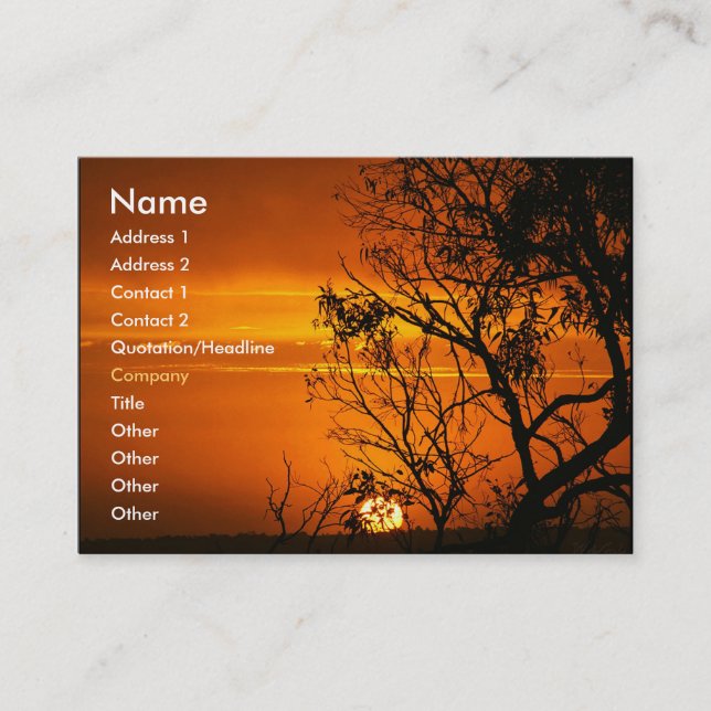 Visite Carte de profil de coucher de soleil orange (Devant)