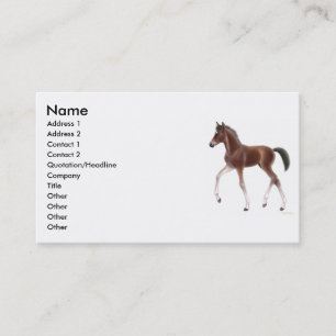 Visite Carte de profil de poulain de trot