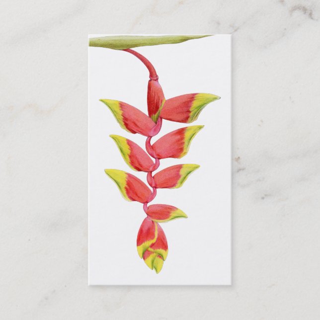 Visite Carte de profil Heliconia Branch (Devant)