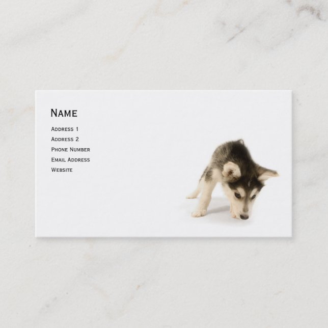 Visite Carte de profil Husky Puppy (Devant)