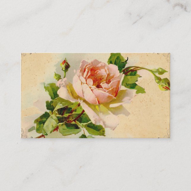 Visite Carte de profil professionnelle Vintage Rose Rose (Devant)