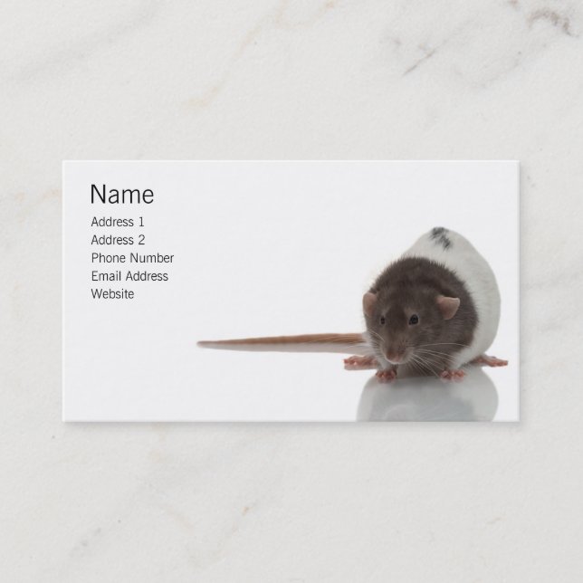 Visite Carte de profil Rat pour animaux (Devant)
