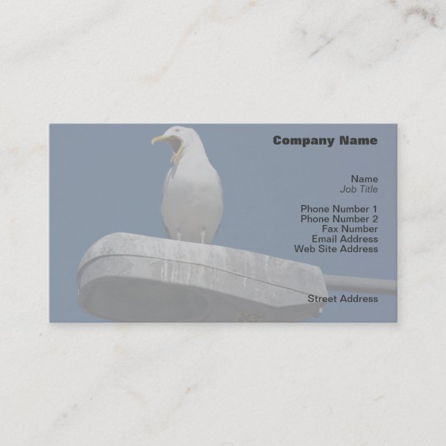 Visite Carte de profil Seagull Yawning (Devant)