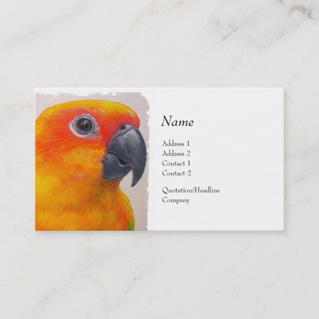 Visite Carte de profil - Sun Conure (Devant)