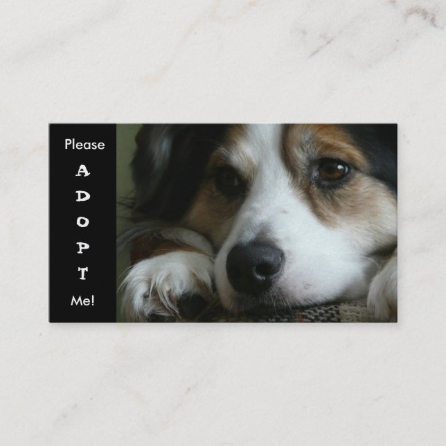 Visite Carte de refuge pour chiens de travail de berger a (Devant)